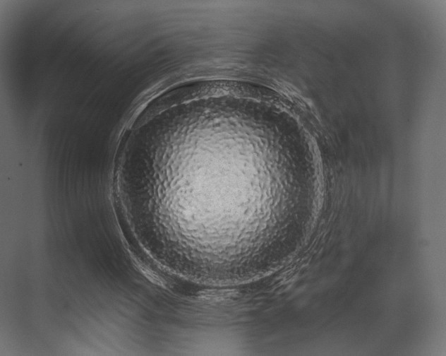 X0000070200051200605261236