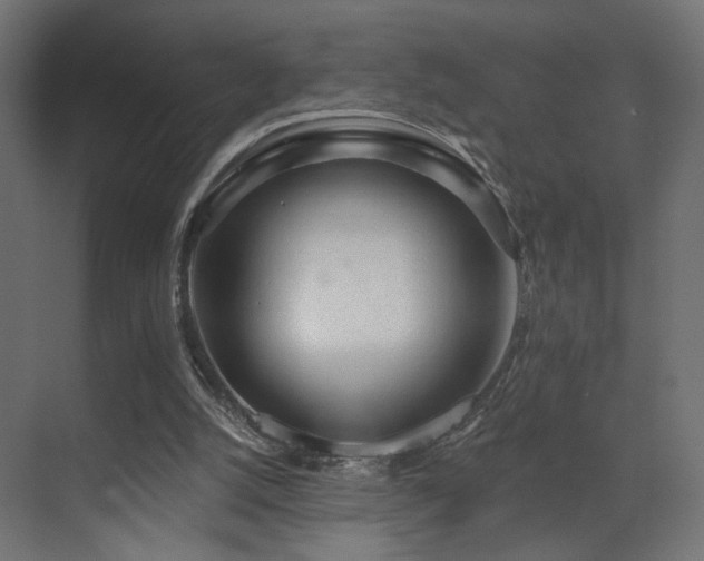 X0000070200056200605261237