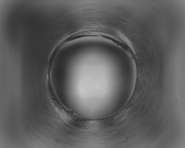 X0000070200059200605261237