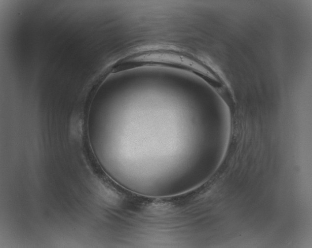 X0000070200063200605261237