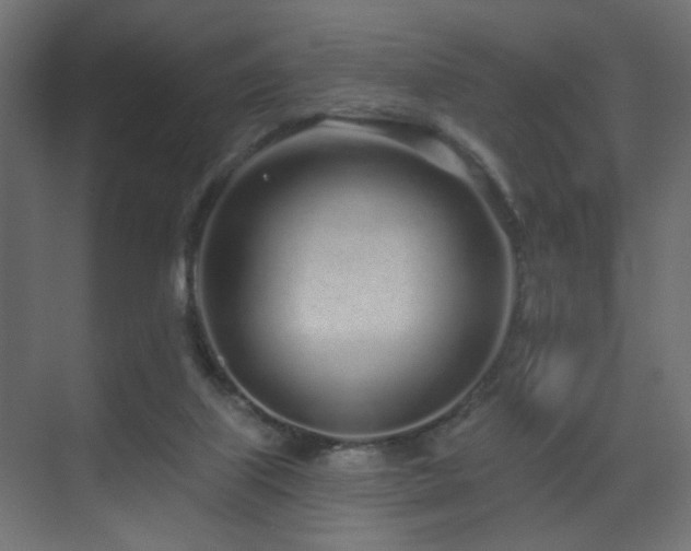 X0000070200067200605261237