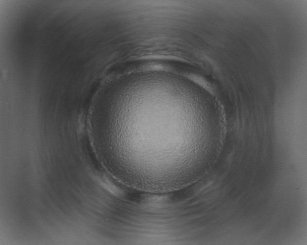 X0000070200081200605261237