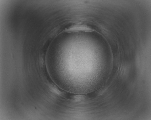 X0000070200085200605261237