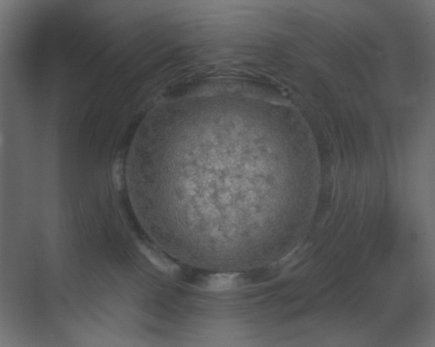 X0000070200090200605261237