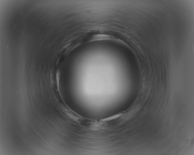 X0000070200096200605261237