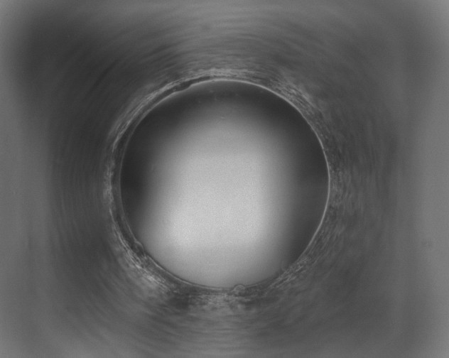 X0000070200098200605261236