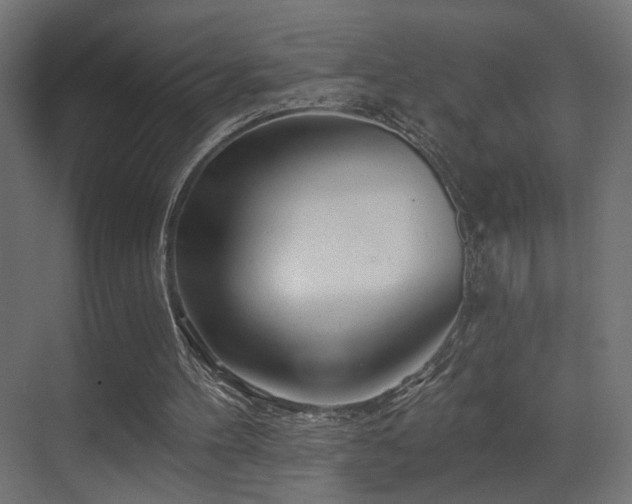 X0000070200100200605261236