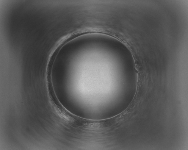 X0000070200104200605261236