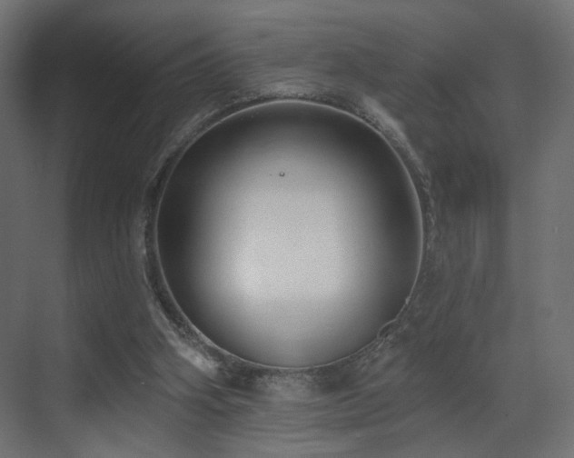 X0000070200106200605261236