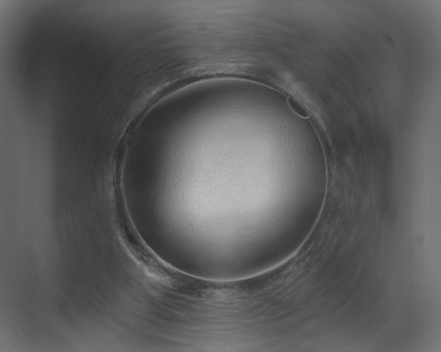 X0000070200107200605261236