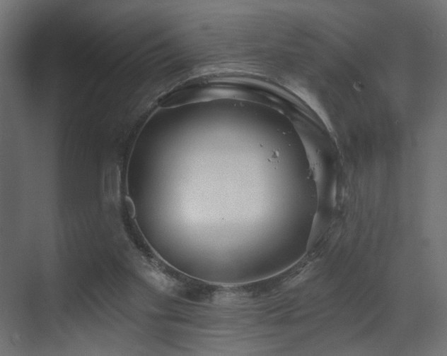 X0000070200109200605261236