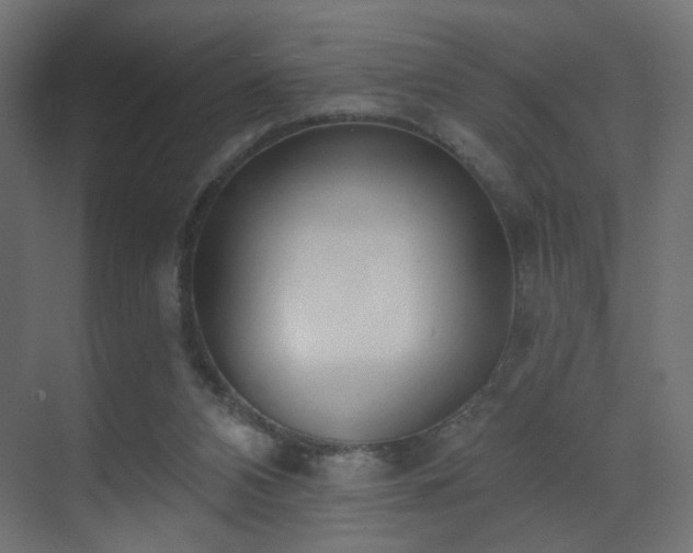 X0000070200112200605261236