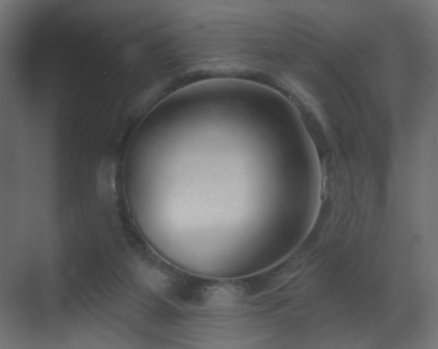 X0000070200115200605261236