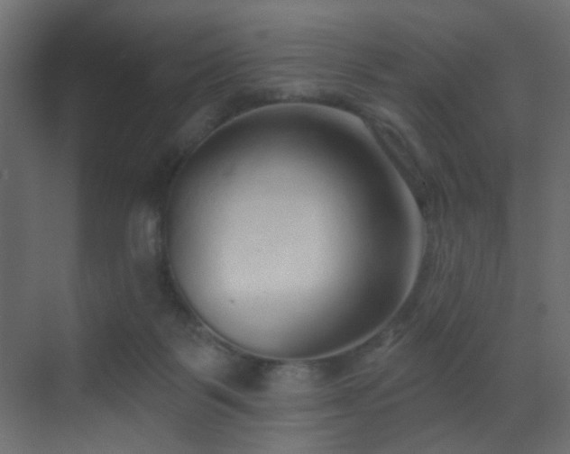 X0000070200123200605261236
