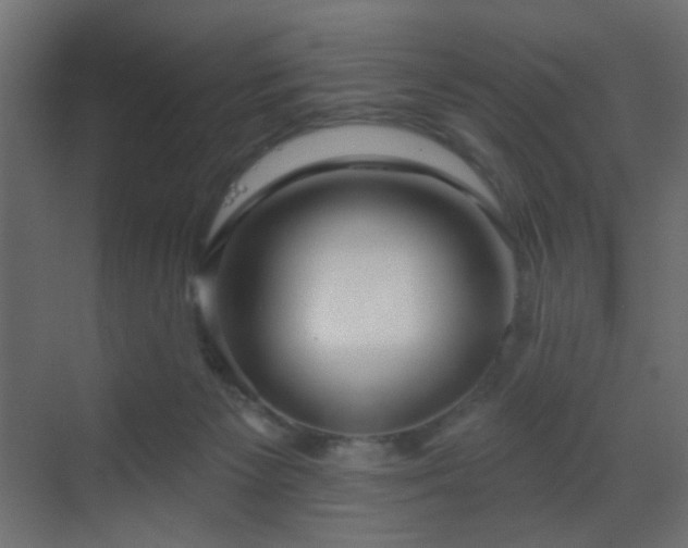X0000070200125200605261236