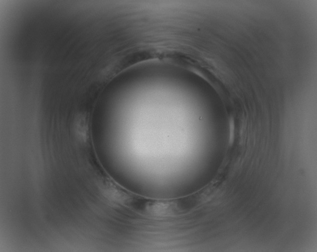 X0000070200129200605261236