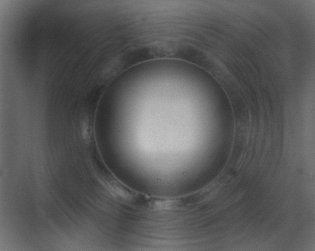 X0000070200134200605261236