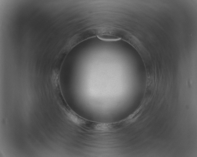 X0000070200142200605261236