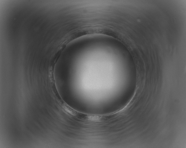 X0000070200144200605261236