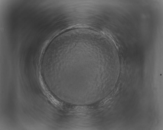 X0000070200145200605261235