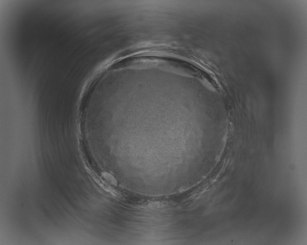 X0000070200149200605261235