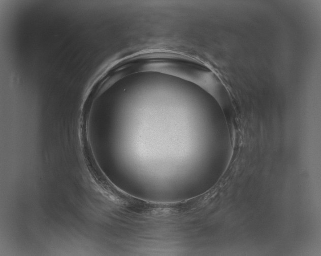 X0000070200152200605261235