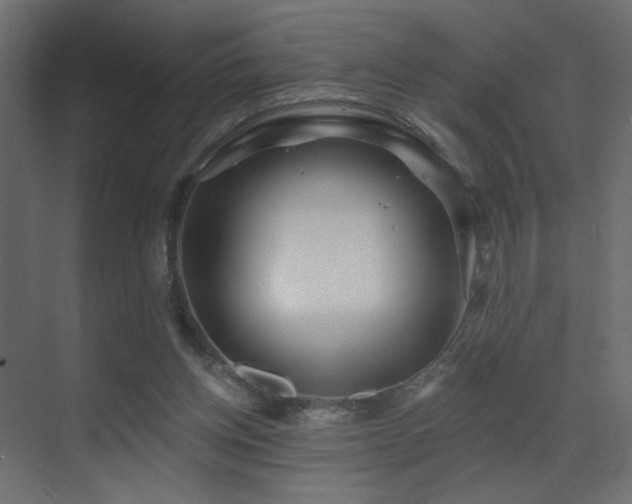 X0000070200158200605261235
