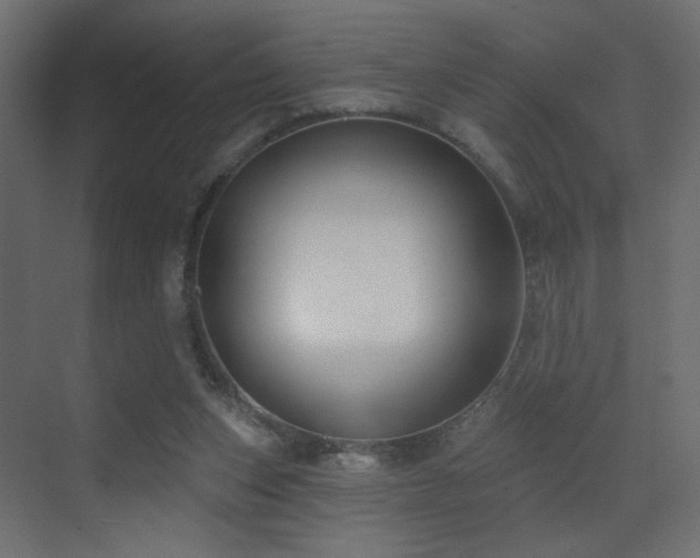 X0000070200159200605261235