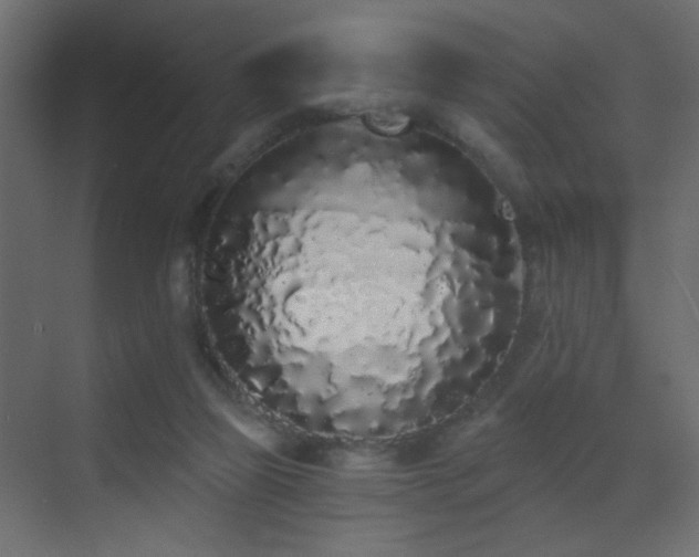 X0000070200165200605261235