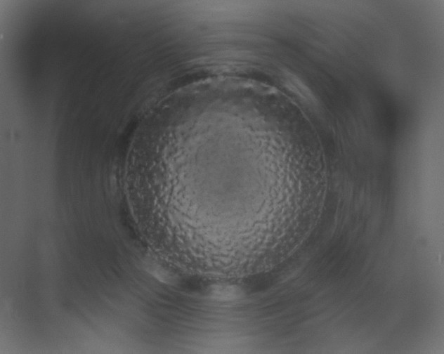 X0000070200169200605261235