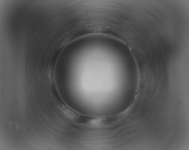 X0000070200178200605261235