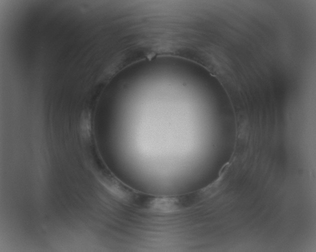 X0000070200179200605261235