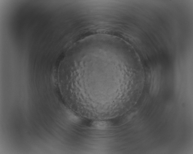 X0000070200181200605261235