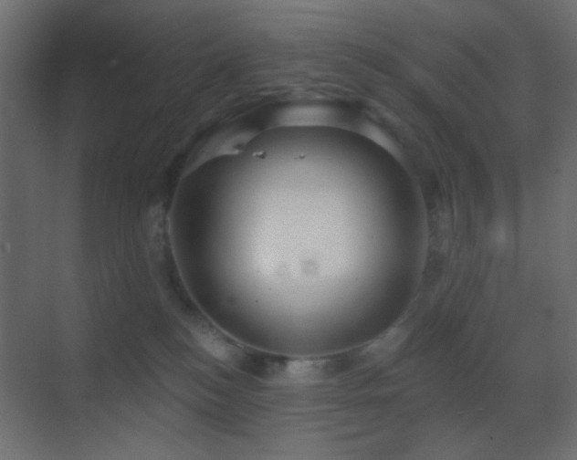 X0000070200184200605261236