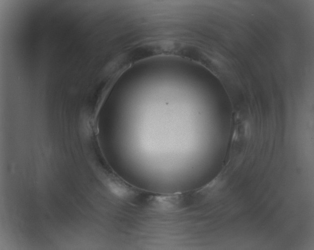 X0000070200188200605261236