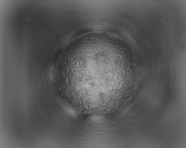 X0000070200189200605261236