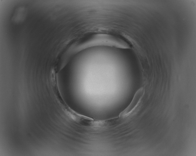 X0000070200192200605261236
