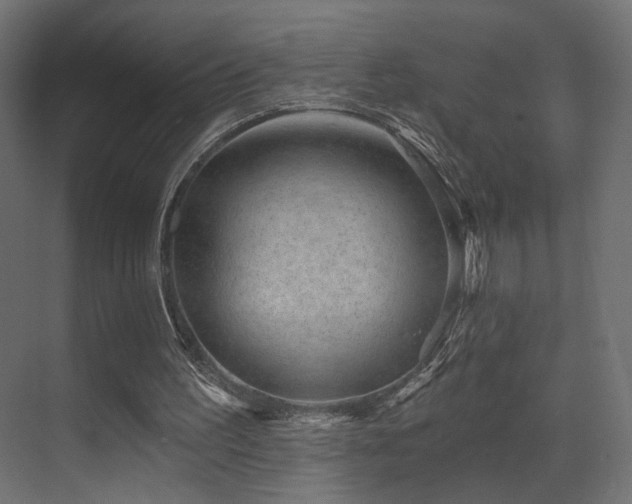 X0000070200195200605261235