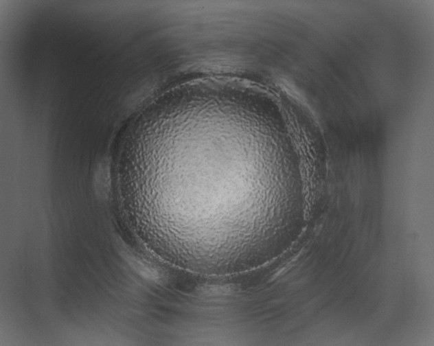 X0000070200202200605261235