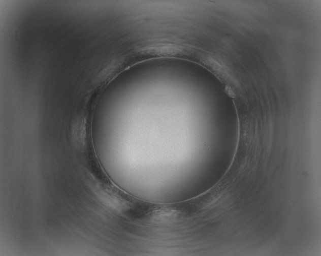 X0000070200206200605261235