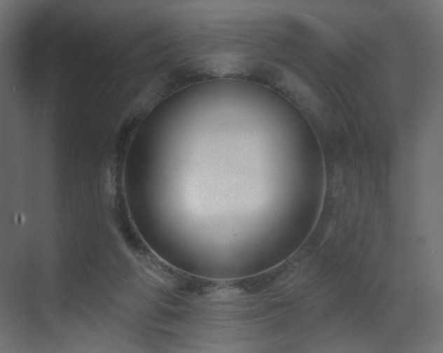 X0000070200210200605261235