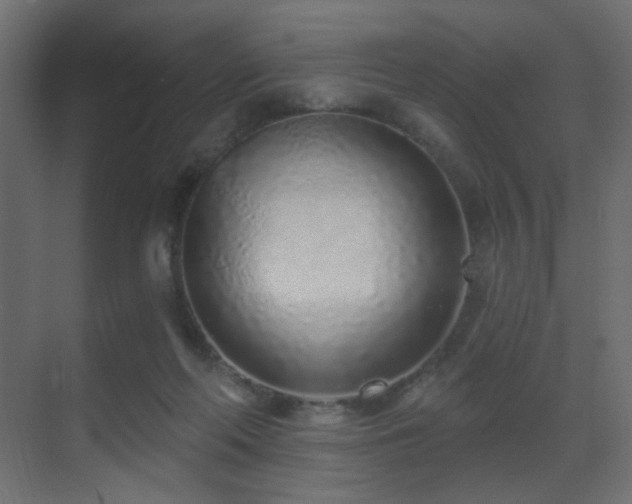 X0000070200214200605261234