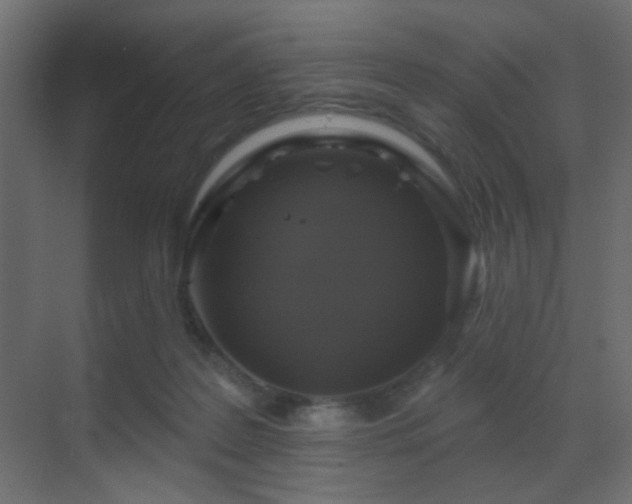 X0000070200219200605261234