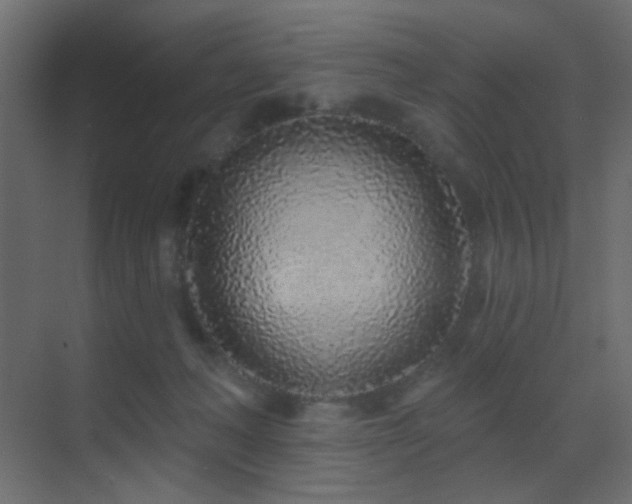 X0000070200222200605261234