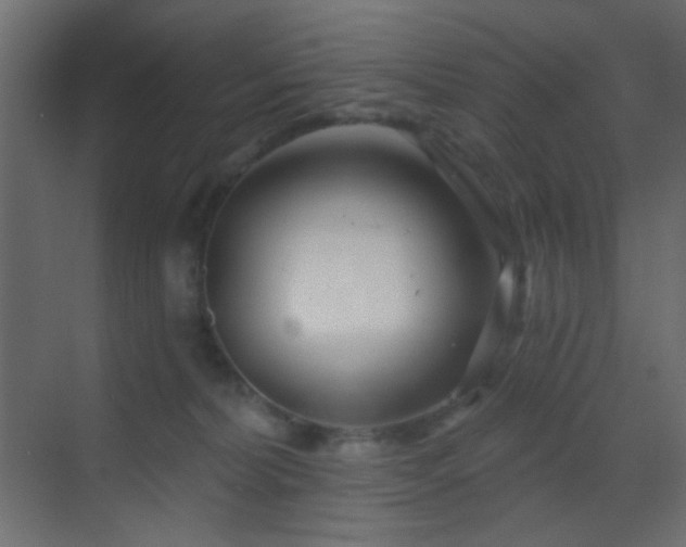 X0000070200228200605261234