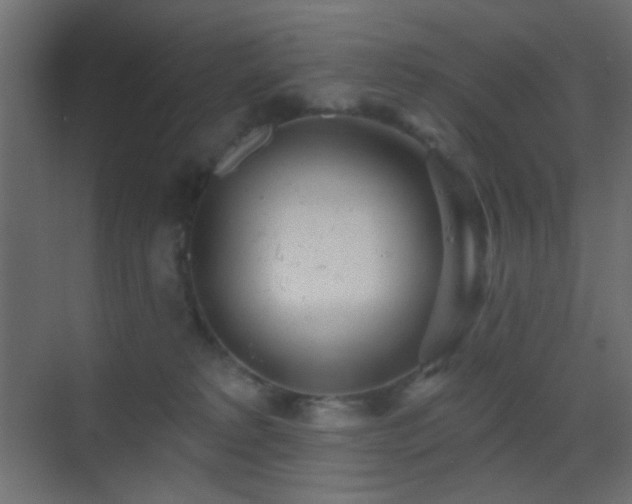 X0000070200229200605261234