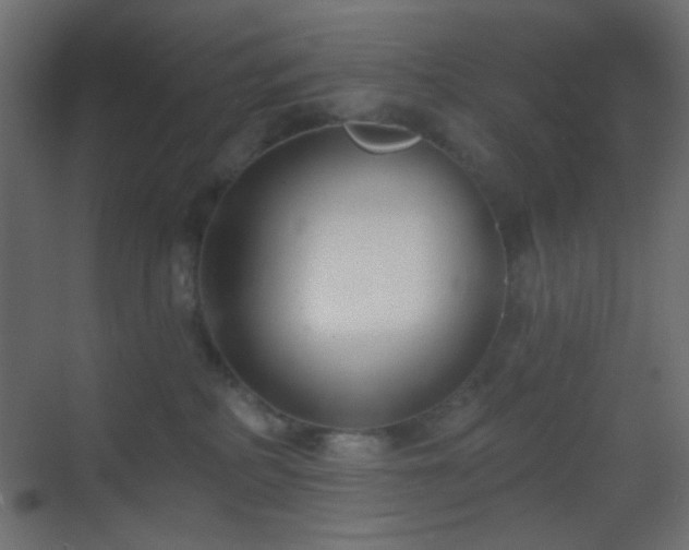 X0000070200234200605261234