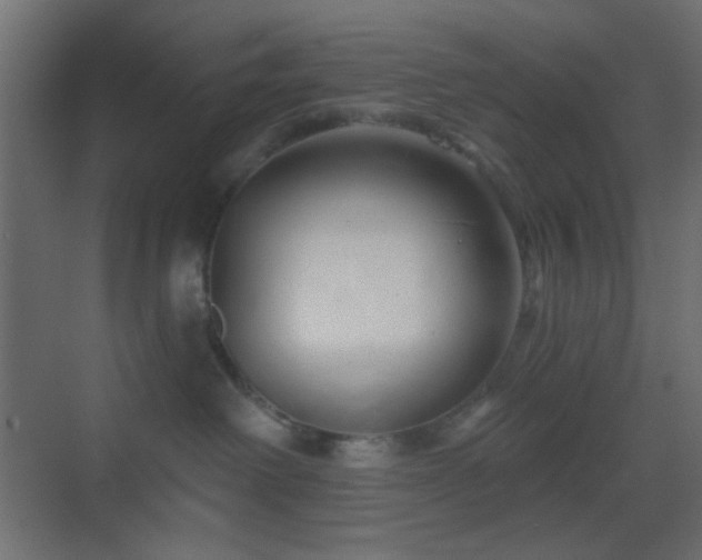 X0000070200238200605261234
