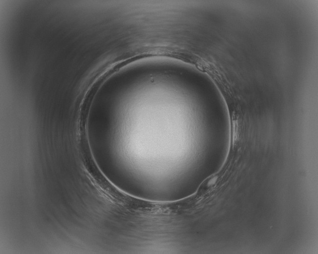 X0000070200243200605261233