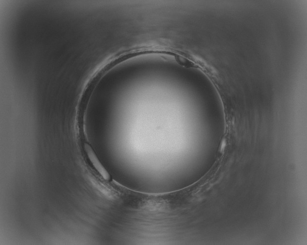 X0000070200248200605261233